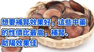 想要補腎效果好，這些中藥的性價比最高，補腎、助陽效果佳