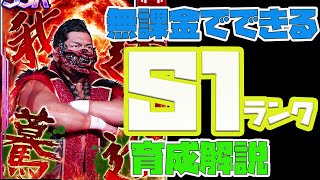 【新日SS】（ランクS1）無課金でもできる❗️S１ランク育成のコツ解説‼️攻略 #7【新日本プロレス】育成法