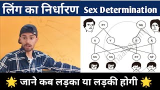 xx या  xy मिलने से क्या बनेगा ||23 जोड़ी गुणसूत्र जाने किसका क्या काम||10th bihar board bio# chap–07