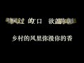 阿楚姑娘 袁娅维_karaoke_无人声_歌词字幕_伴奏