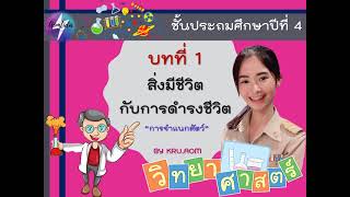 การจำแนกสัตว์ (โดยใช้กระดูกสันหลังเป็นเกณฑ์) ชั้นประถมศึกษาปีที่ 4