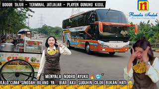 BABAT ALAS‼️BUS ROSALIA INDAH 3116 \