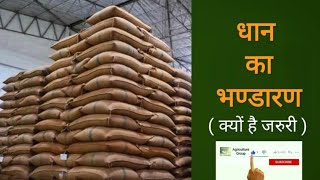 Paddy storage || धान का भण्डारण