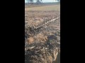 big bog marks from the chaser bin