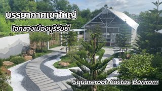 บรรยากาศเขาใหญ่ในเมืองบุรีรัมย์ แลนด์มาร์คใหม่ที่บุรีรัมย์ Squareroot Cactus Buriram