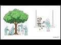 Linux: Code on Demand: Kernel Modules