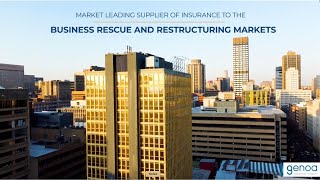 Professional Indemnity Insurance for Business Rescue and Restructuring