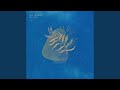 Opal Eyes