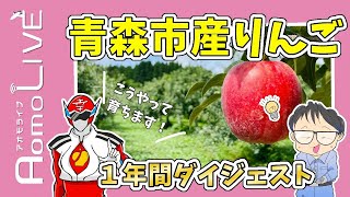 青森市産りんごの1年をダイジェストで紹介！【AomoLIVE】