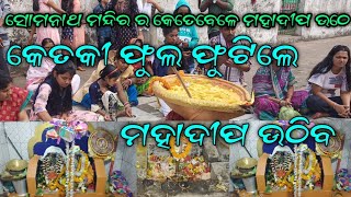 କାହିଁକି କେତେକୀ ଫୁଲ ଫୁଟିଲେ ମହାଦୀପ ଉଠେ//ବରପଡା ସୋମନାଥ ମହାଦେବ ମନ୍ଦିର//ନିଶ୍ଚିନ୍ତକୋଇଲି #