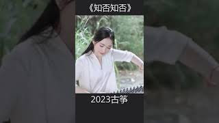 《知否知否》——史上最赞唯美古筝版！#shorts