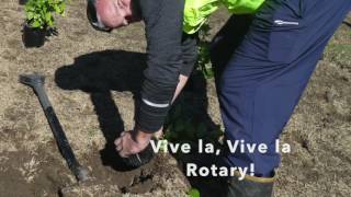 Vive la Rotary