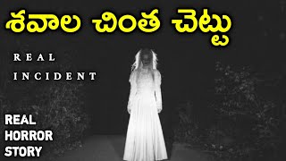 Ghost Tree - Real Horror Story in Telugu | Telugu Stories | Telugu Kathalu | Psbadi | 28/6/2023