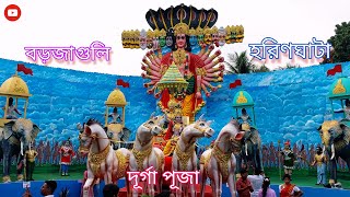 Barajaguli to Haringhata Durga Puja ll 2023