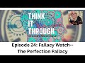 Episode 24: Perfection Fallacy