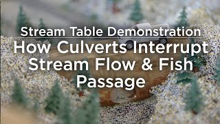 How Culverts Interrupt Stream Flow & Fish Passage | Stream Table Demonstration
