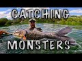 CATCHING AND LOOSING BIG FISH || THAILAND FISHNG || GILLHAMS FISHING RESORT