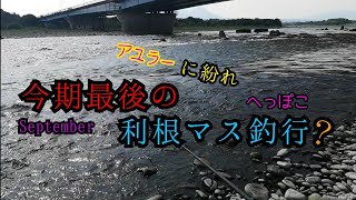 【群馬漁協　利根川】鮎釣り師に紛れて今期最後の利根鱒ルアー釣行｡｡