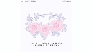 Normani Kordei - Don't Touch My Hair x Cranes in the Sky (Mashup Cover)