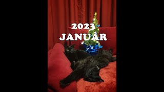 Vízöntő JANUÁR 2023