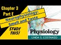 Costanzo Physiology (Chapter 3E) Neurophysiology: Taste and Smell || Study This!