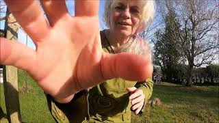 Qigong with Anette - 5 Elements - Earth