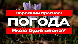 🌸☀️ Весна 2025: коли чекати потепління та якою вона буде?