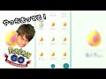 地域限定の色違いが早く欲しかったの【ポケモンgo】