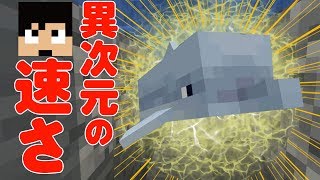 【カズクラ】異次元の速さでイルカさん連れてきたぜ！マイクラ実況 PART313