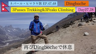 【ネパール・ヒマラヤ旅47,48】再びDingbocheで休息(3Passes Trekking\u00263Peaks Climbing Day27,28)