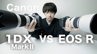 Canon EOS 1DX MarkⅡ VS EOSR【動体撮影対決】