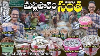 Matlapalem santha fish market మట్లపాలెం సంత చేపల మార్కెట్ crabs Prawns పీతలు రొయ్యల @RamanaVideos