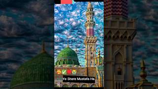 🥰🥰Ye Shere Mustafa He Madina Kareem He 🥰🥰#youtubeshorts #instagram #like #trendingshorts #viralvideo