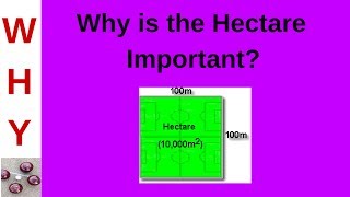 Relevance of the Hectare