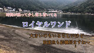 河口湖バス釣り〜10月26日ロイヤルワンド編【河口湖バス釣り】