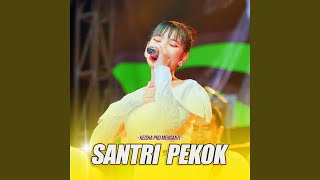 Santri Pekok