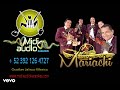 KARAOKE LOS DOS AMANTES - MARIACHI Y ARPA @karaokesmidiaudiostudio