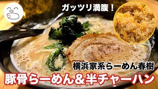 豚骨らーめん・半チャーハン【一息くん#917】横浜家系らーめん春樹