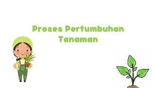 PLH-Proses Pertumbuhan Tanaman