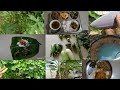 புதுவிதமான அறுவடை #vegetables harvesting 🍆#greenleaves harvesting 🌿