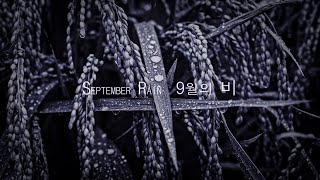 9월의 비 September Rain