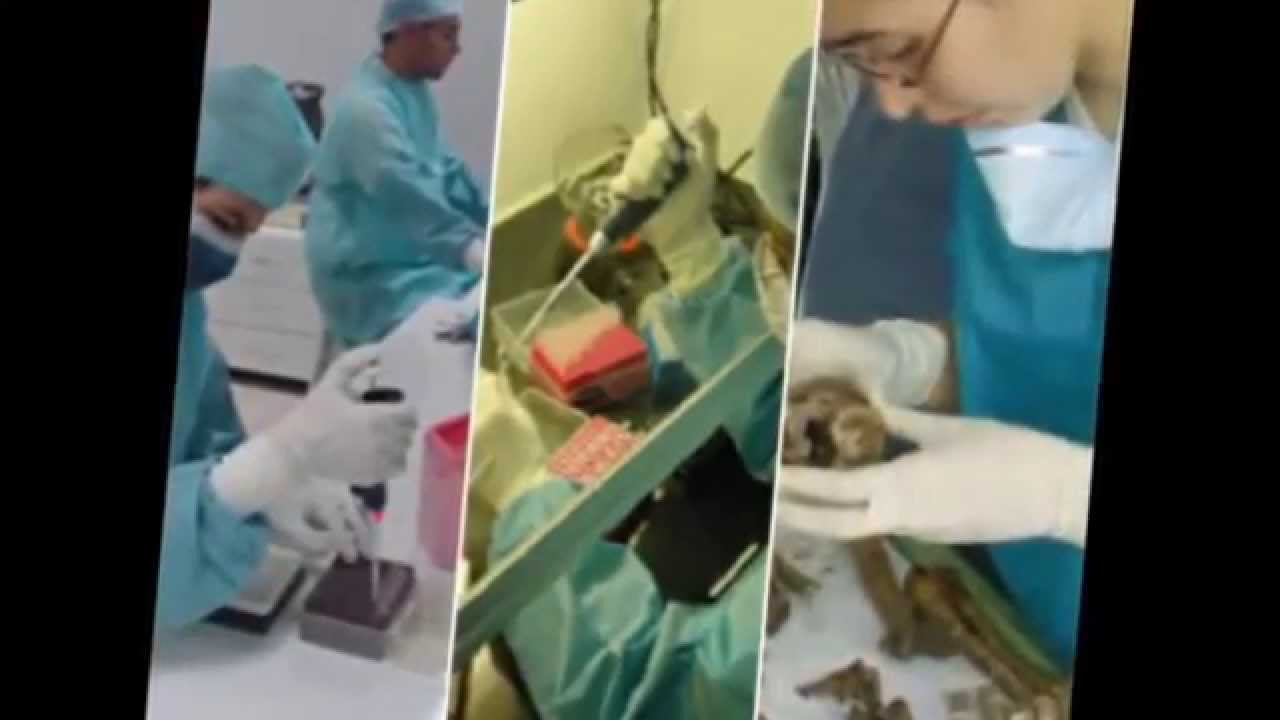 Ramas De La Medicina Forense