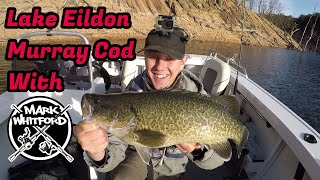 Lake Eildon Murray Cod With Mark Whitford