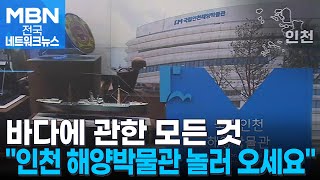 수도권 최초·유일 해양박물관…역사부터 체험까지 [전국네트워크]