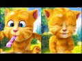 LIVE MY TALKING GINGER CUTE CAT BY GINGER PAGOL