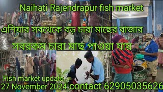 এশিয়ার সবথেকে বড় চারা মাছের বাজার Naihati rajendrapur fish market সব রকমের চারা মাছ পাওয়া যায় !