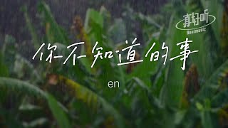 en - 你不知道的事（純享版）「蝴蝶眨幾次眼睛才學會飛行」【完整版】動態歌詞LyricsVideo 治癒向 無損音質