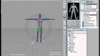 Motion Builder Python script - MOCAP