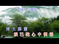 麗莎 相思淚盡人未歸【小翠絲懷舊金曲集】