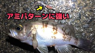 【メバリング】春先のアミパターンをプランクトン系の爆釣ワームで釣ってみた